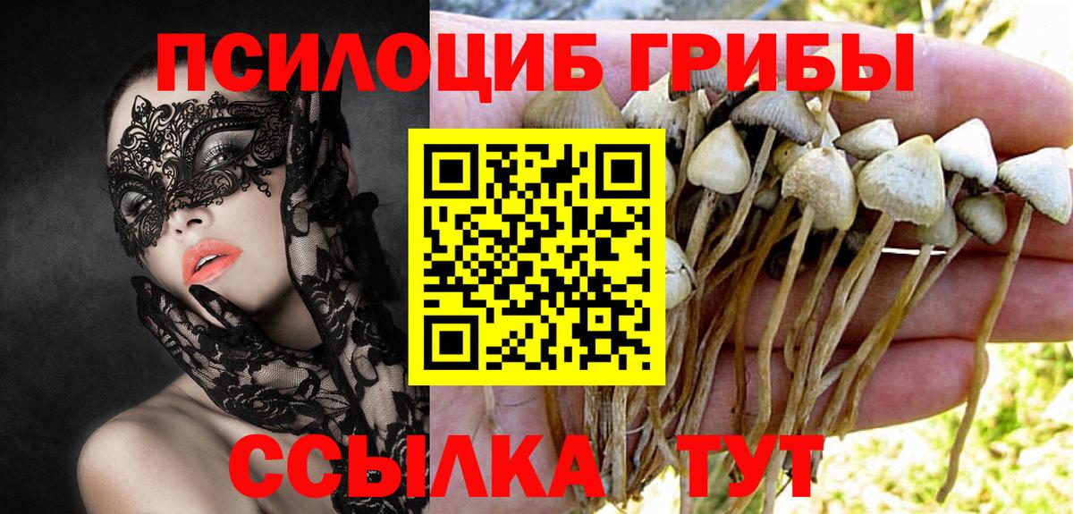 Галлюциногенные грибы Magic Shrooms Уссурийск